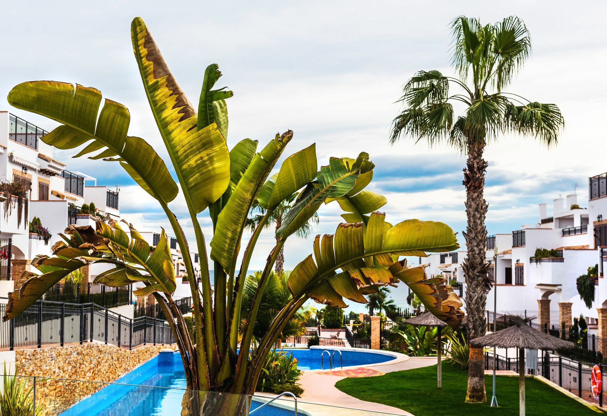 Espanhouse Azul Beach Leilighet Torrevieja Eksteriør bilde